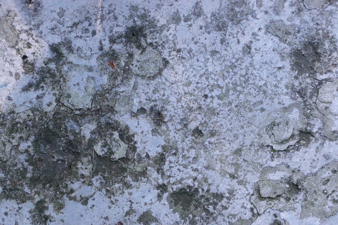Epoxy Floors vs. Bare Concrete: What 10 Years of Michigan Winters Does to Your Garage